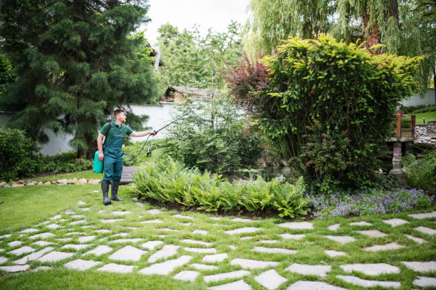 Best Commercial Pest Control Services  in Buckhead, GA