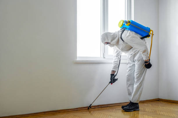 Best Insect Control  in Buckhead, GA