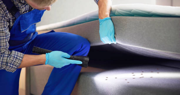 Best Best Pest Control Companies  in Buckhead, GA