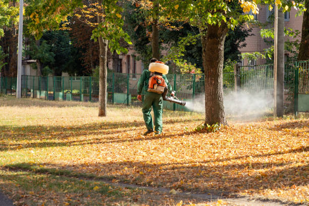 Best Residential Pest Control  in Buckhead, GA